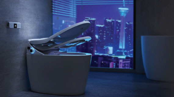 Smart Toilets detail