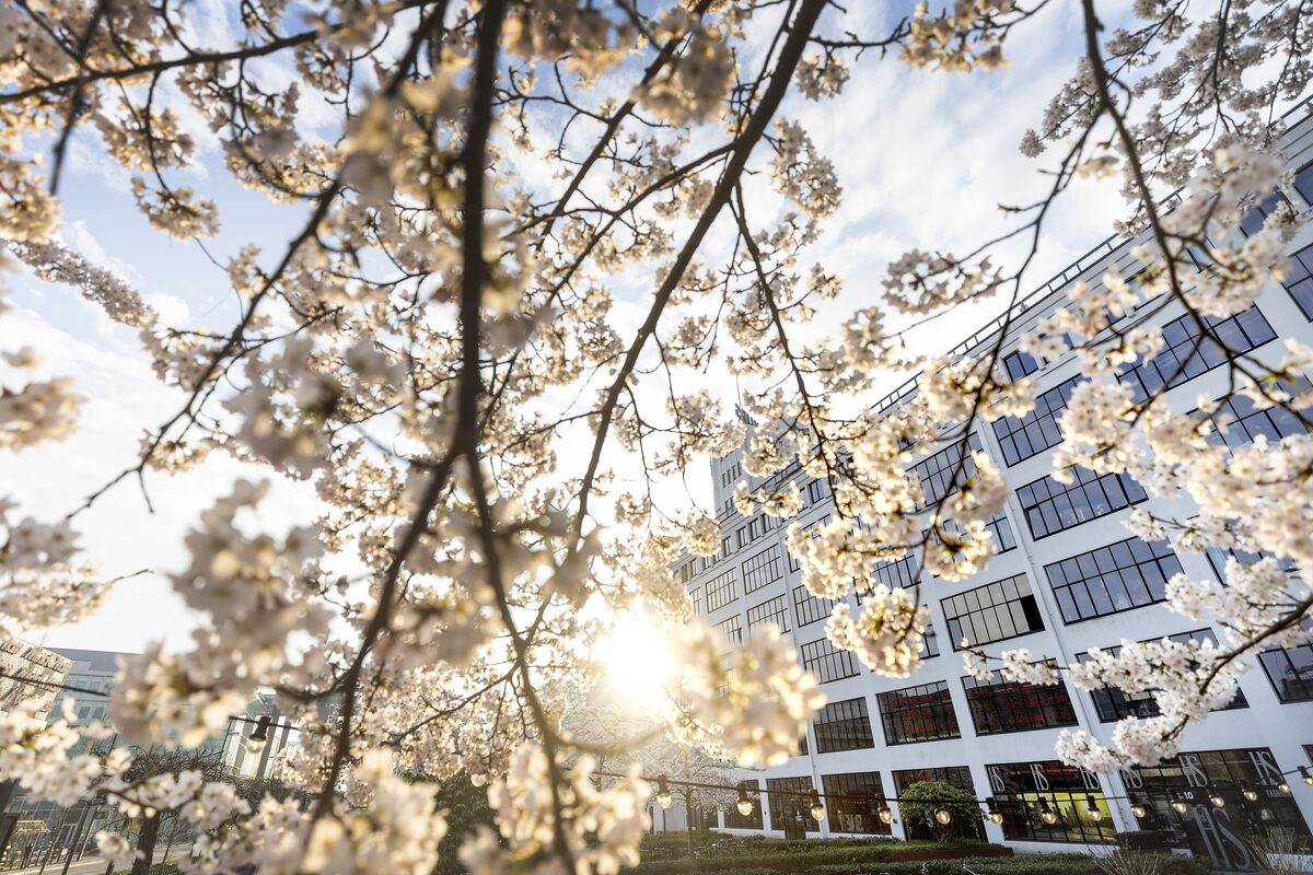 Sustainability must be seen over the whole lifecycle of a&nbsp;building